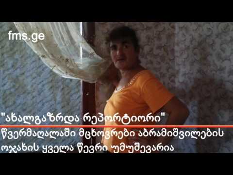 \"ახალგაზრდა რეპორტიორი\" – დასაქმების პრობლემები წვერმაღალაში