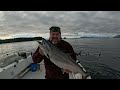 Ketchikan Alaska Winter king salmon February 2025