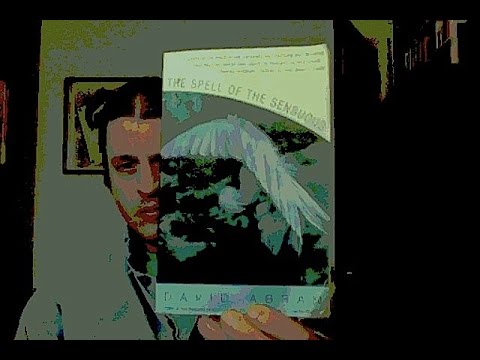 Corey Anton: Just About Everything (including Abram's The Spell of the Sensuous)