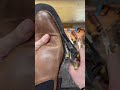 Budget shoes? Protect them too!