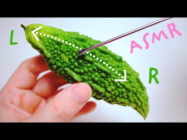 ASMR ゴーヤマイクで耳かき
