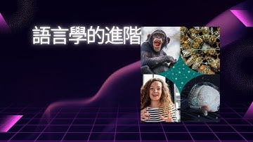 語言不是清單是生命體Language Lives Beyond the Checklist