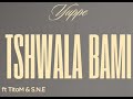 Titom - Tshwala Bam Ft Yuppe Eeque SNE (Instrumental) free beat free download