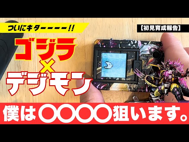 Exciting!] Godzilla collaboration gear has arrived! Unboxing