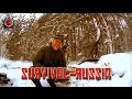 The Russian Woodsman's Birch Bark Match