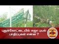 New video by Thanthi TV on YouTube