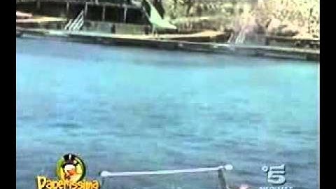 Funny Animals Videos 05 from www metacafe com