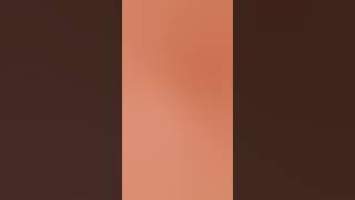 Dark Salmon Gradient Motion Background Loop DarkSalmonGradient DarkSalmonBackground Screensaver