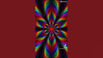Thumbnail of Color Blind Test #shorts #soothing #funny #dog