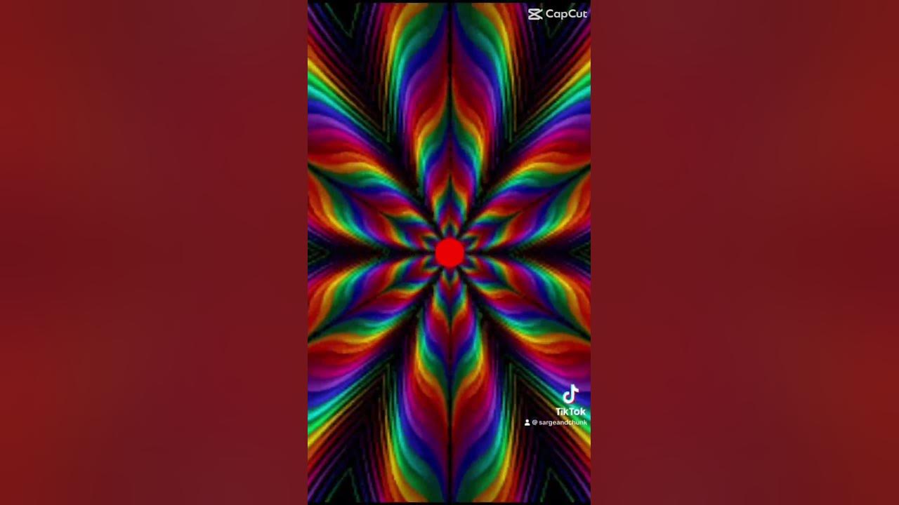 Color Blind Test #shorts #soothing #funny #dog