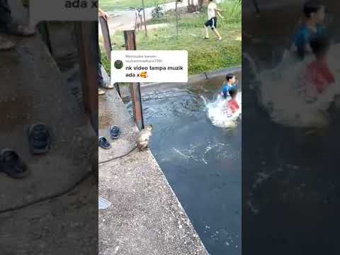 قرد يسبح مع العيال 