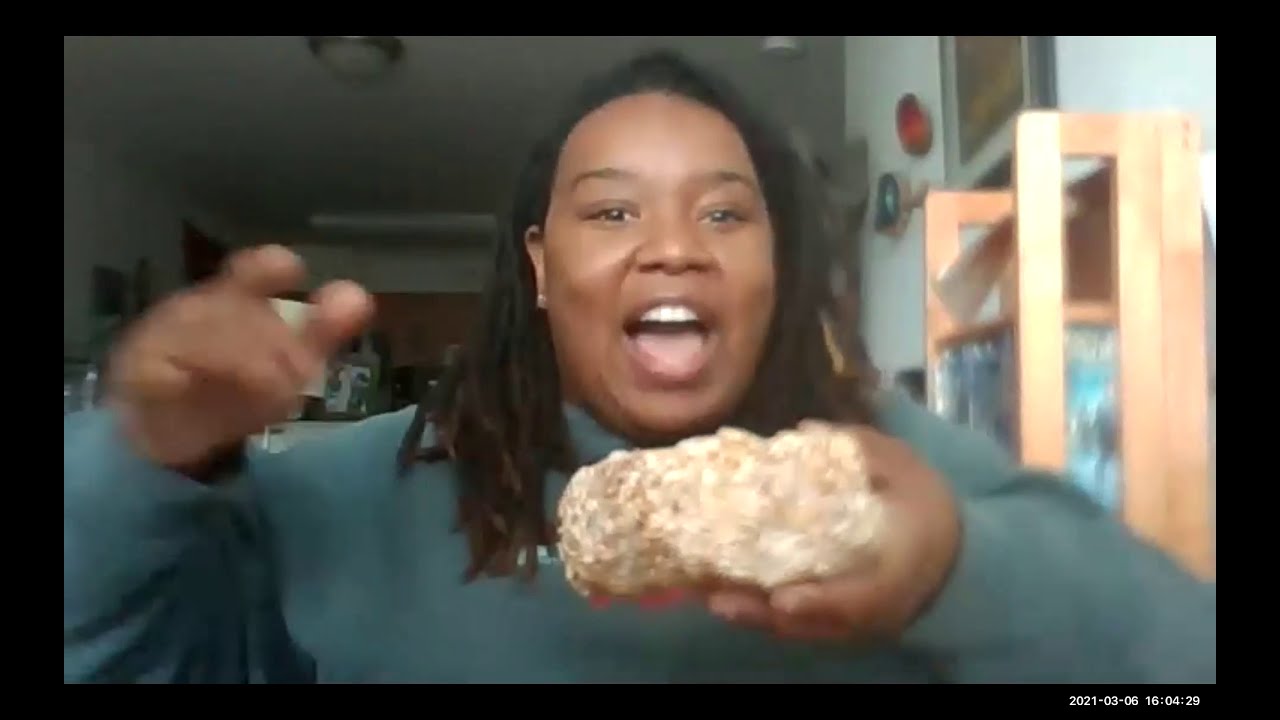 Shellfish & Mushroom Foraging in the Pacific Northwest