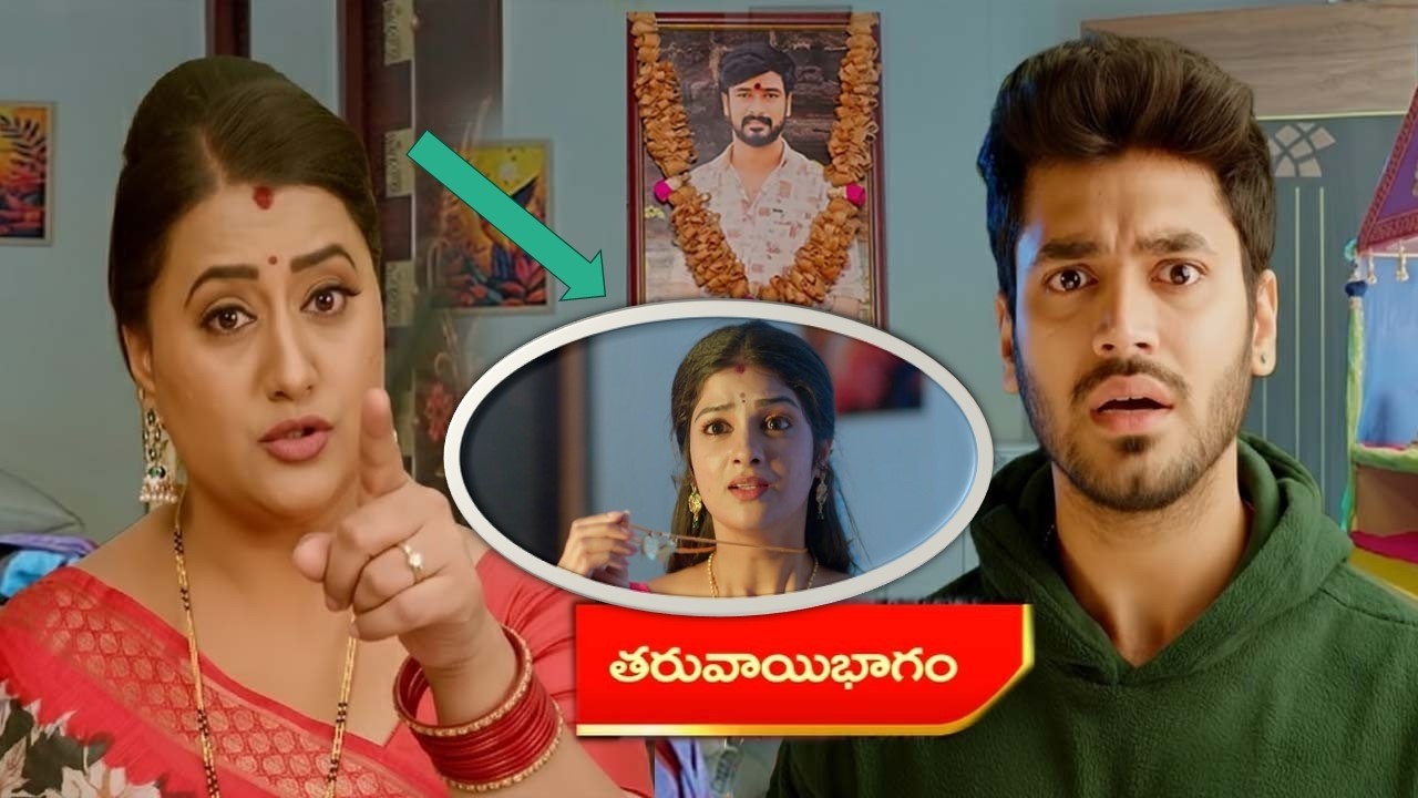 మల్లి గురించి మొత్తం నిజం బయటపెట్టి సిద్దు కి బుద్ది చెప్పిన రమ్య షాక్ లో సిద్దు ఇంద్రాణి పని అవుట్