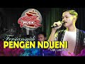 PENGEN NDUENI - FERDIANSYAH