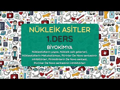 Video: Pirimidin nükleotidleri nelerdir?