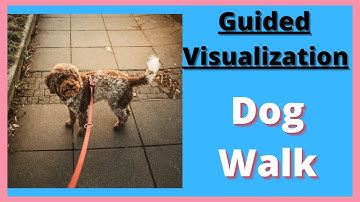 Neuroplasticity Exercise - Guided Visualization: Dog walk