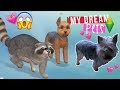 The Sims 4 Cats & Dogs RELEASED !! My First Impression