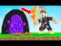 The MOST RARE Item in Skyblock Roblox Islands AFK Money Farm
