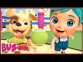 الكلب نونو الكلب نونو و الكرة مغاكرة الكلب نونو Bus Cartoon بالعربي 