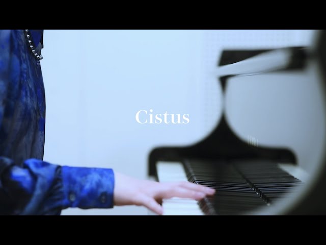 【一人十色】Cistus ~シスタス~