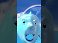 nooooo dolphin