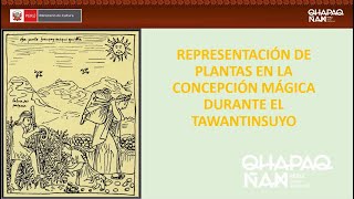 Plantas psicotrópicas utilizadas en el Tahuantinsuyo