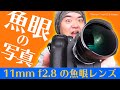 【魚眼の魅力】ミラーレス使いに嬉しい魚眼レンズ TTArtisan 11mm f/2.8 Fisheye で撮影した円いフィッシュアイの世界をご覧ください 11mm 対角魚眼レンズ