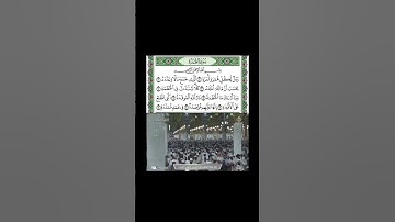سورة الهمزة للشيخ عبدالمحسن القاسم