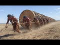 How People Moved an 11,000-Pound Tree 100 Miles - Scientists Found Out