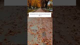 Eylülzede Bitti Şimdi Sıra Ekimzede De - )