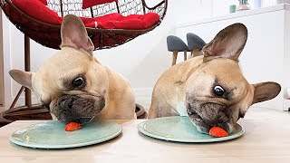 French Bulldog Reviews STRANGE Food With Sister | TASTE TEST 1