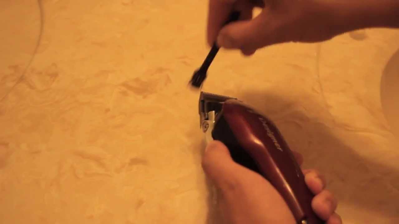 oiling a wahl clipper