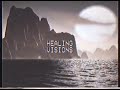 Miami vice  healing visions 2016