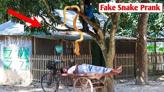 King Cobra Snake Prank 🐍(Part 4) | Fake Snake Prank Video on Public | Prank Tv Ltd