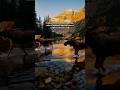 Sabedoria que Flui” 🌿💫#reflexão #fypyoutube