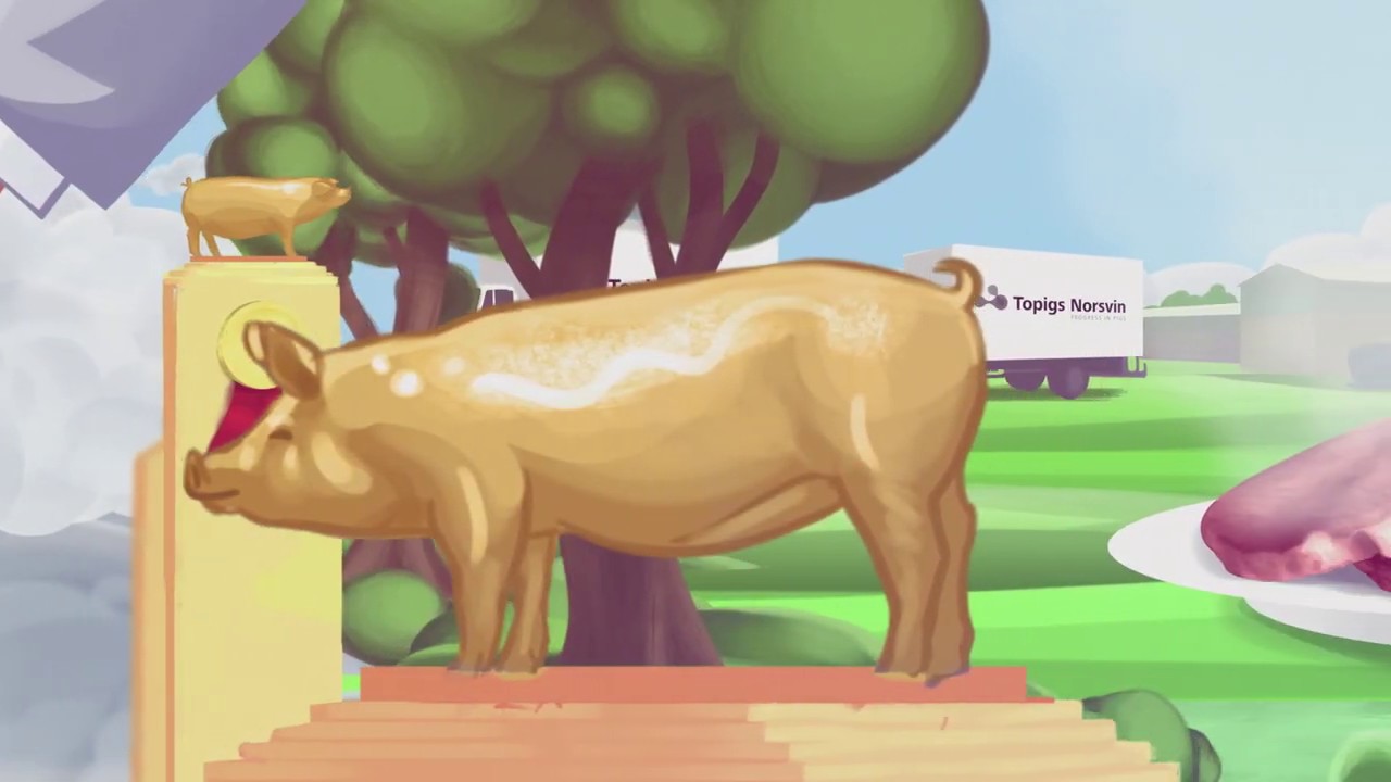 Topigs Norsvin Company Video 2019 Spanish