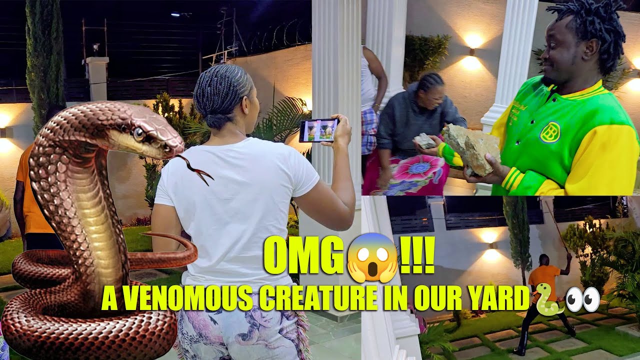 DRAMA & CONFUSION AT 2AM!!! A SNAKE IN OUR COMPOUND 🙆🏻‍♀️|| DIANABAHATI