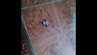 Testiramo Fidget Spinner