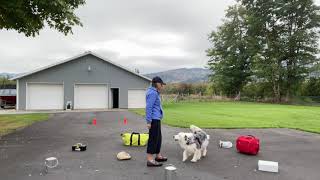 Advanced Containers for Nosework