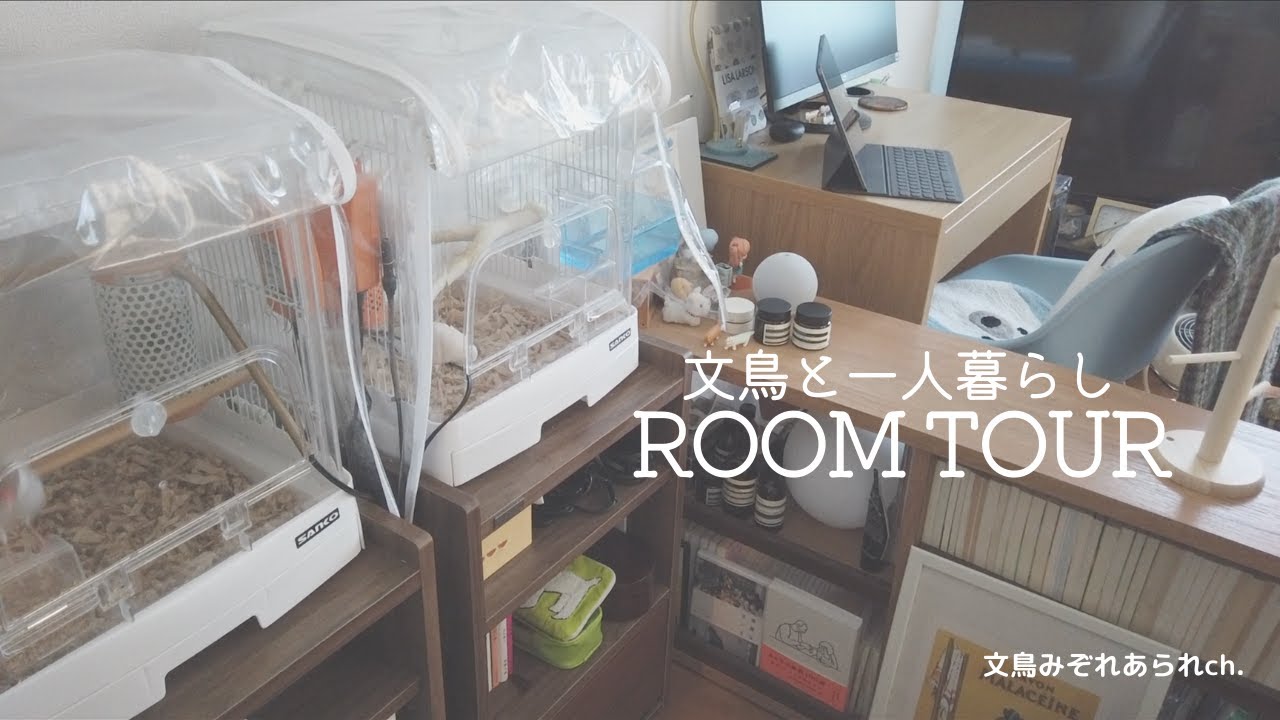 ルームツアー】文鳥二羽と暮らす、一人暮らし七畳ルームツアー ROOM
