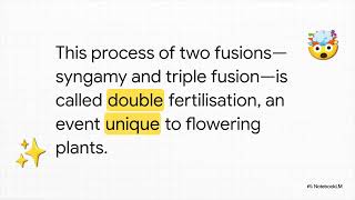 The Secret life  of flowers 