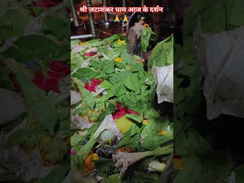 श्री जटाशंकर धाम छतरपुर मध्य प्रदेश आज के दर्शन #trending #jaishankarki #vlog #bholenath #shortvideo