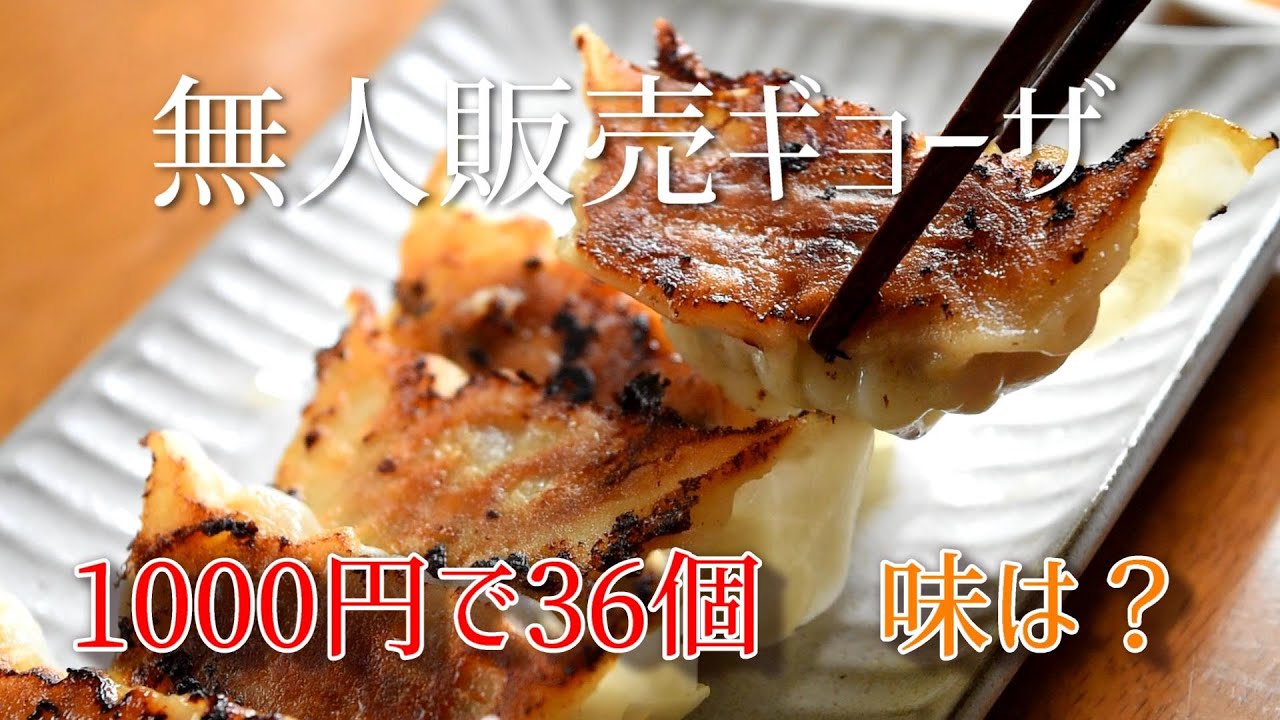 How to Cook Japanese Frozen Gyoza the BEST - YouTube