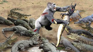 Awful! Angry Gorilla Grabs The Crocodile &amp; Throws It Into Air When Suddenly Surrounded | Wildlife