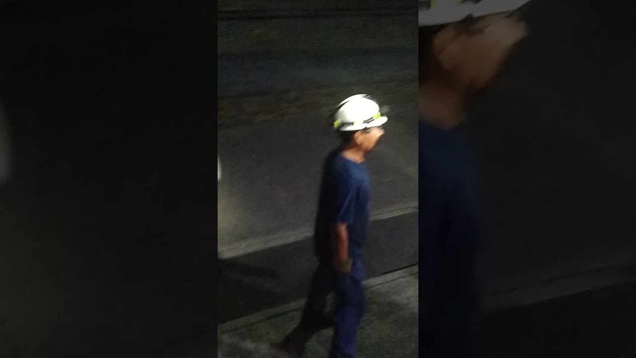 Gato en bolsa de locomotora 1