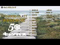 沖縄民謡メドレー#17　癒しの沖縄音楽でリラックス気分【作業用BGM 集中力】【沖縄の歌 琉球民謡 】