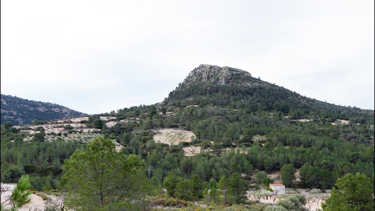 Castalla-Serra de Carrión-Font del Llop-Ombría de la Font del Llop-Font de la Carrasca