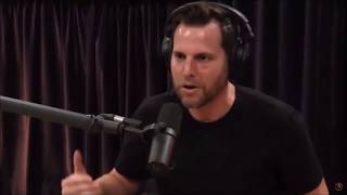 Joe Rogan educates Dave Rubin about the importance of Building Codes and Regulations