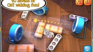 Wake the Cat Chillingo Education Android İos Free Game GAMEPLAY VİDEO screenshot 5