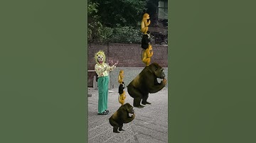 The mascot vibrato assistant Rotating gorilla Layer by Layer vfx magic shorts video #vfxpro